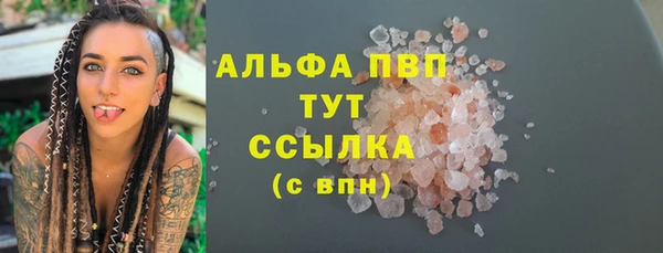 спиды Богородск