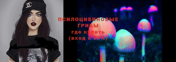 spice Баксан