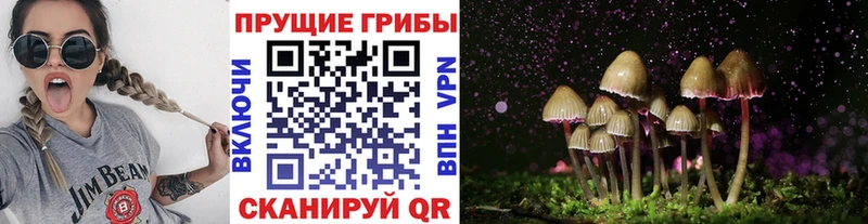 Псилоцибиновые грибы MAGIC MUSHROOMS  Вельск 